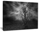 "Cry of Hand" Abstract Digital Art Canvas Print