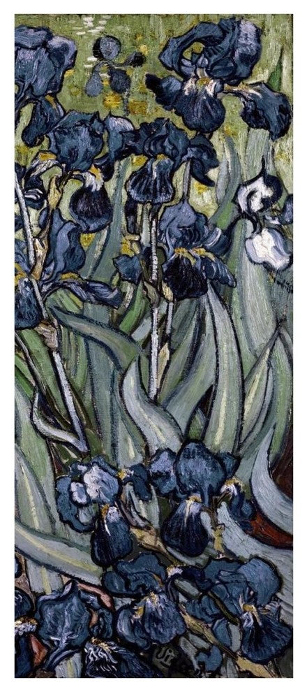 "Irises (right)" Digital Paper Print by Vincent van Gogh, 19"x42"