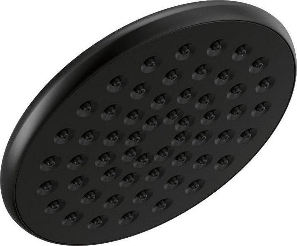 Delta 52433-BL Components Single-Setting Raincan Shower Head