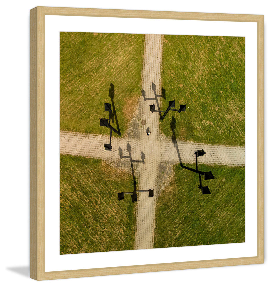 "Weather Vanes" Framed Print by Karolis Janulis