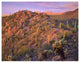 "Panther, Safford Peaks covered, Saguaro, Teddybear Cholla" Paper Art, 42"x32"