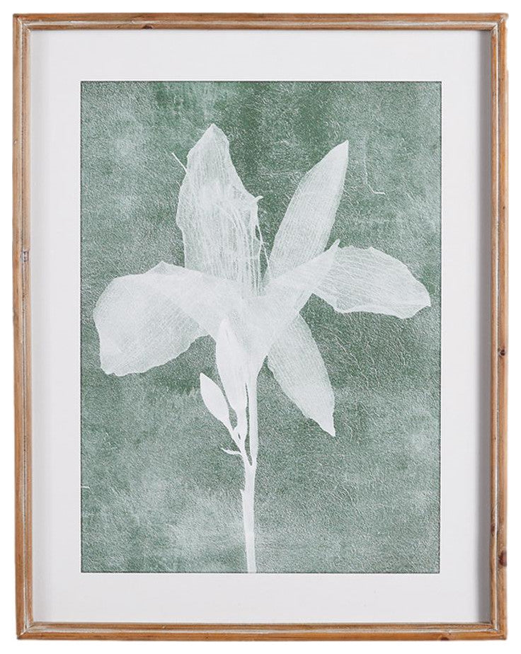 Elegant Set of 6 Translucent White Floral Prints Gray Green White Contemporary