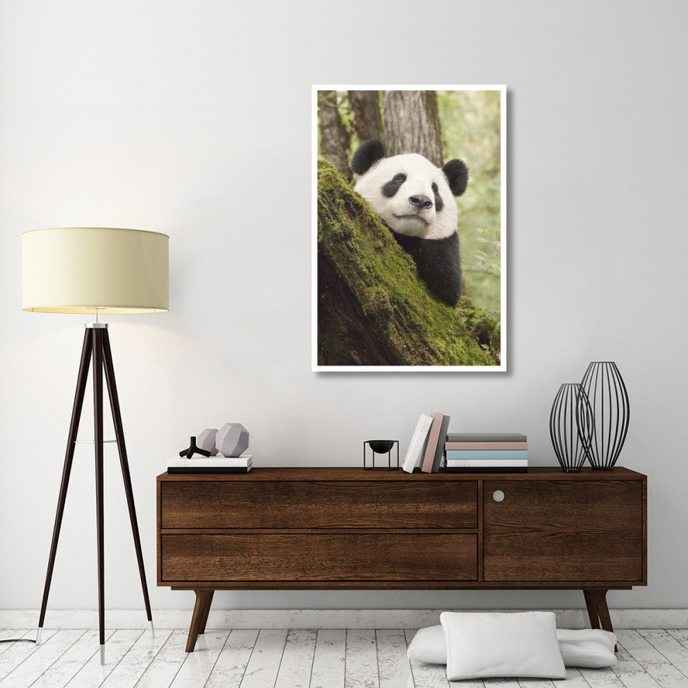 "Xiang Xiang, 1st captive raised panda released into wild" Paper Art, 34"x50"