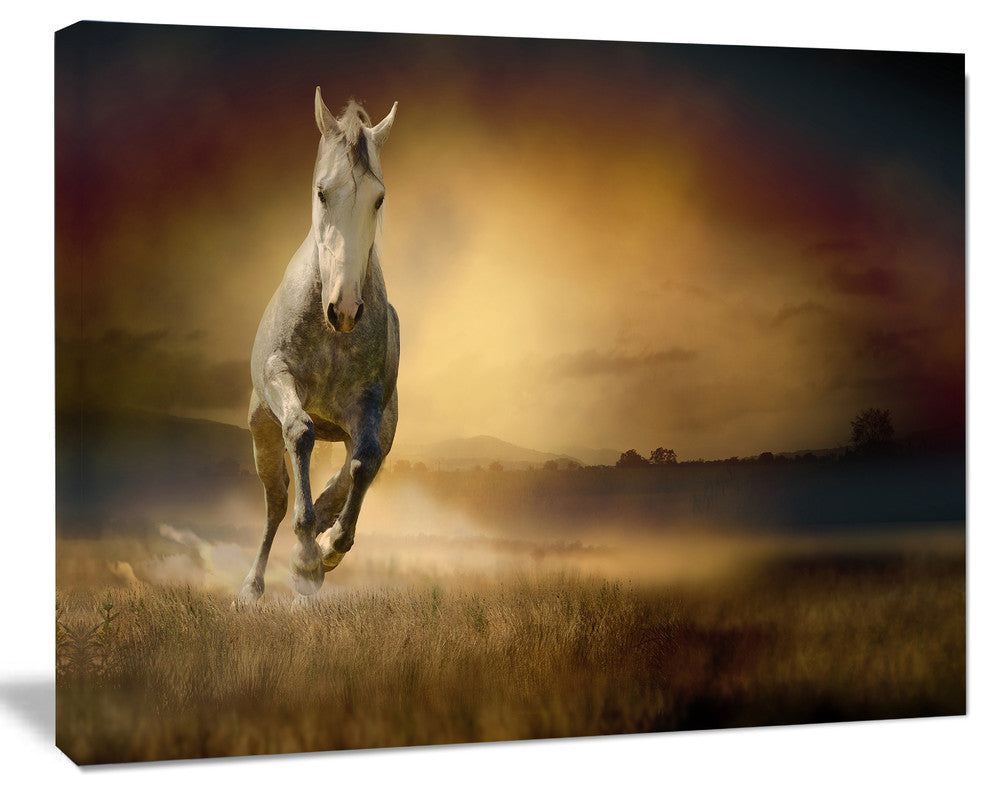 Horse Galloping Through Valley, Animal Canvas Wall Art, 20"x12"