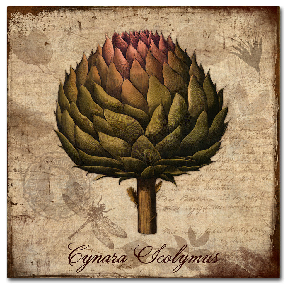 Tina Lavoie 'Cynara Scolymus' Canvas Art, 18" x 18"