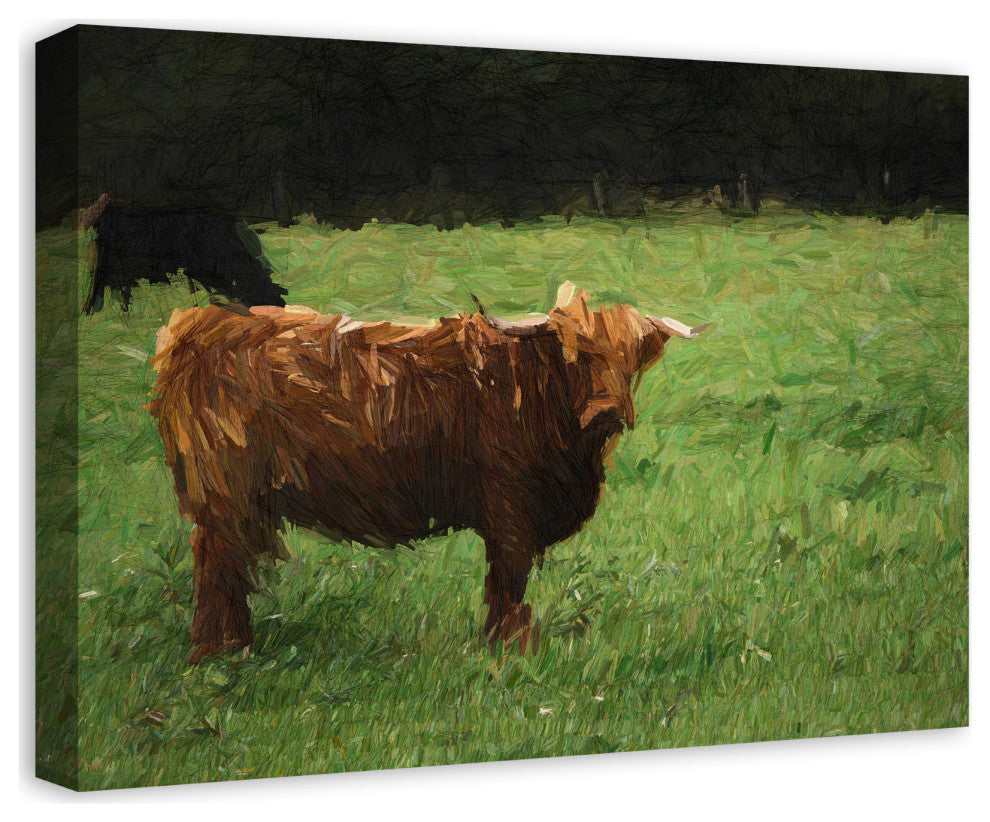Hairy Brown Cow 24x18 Canvas