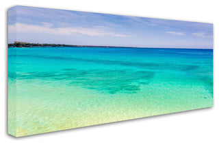 Pierre Leclerc 'Blue Hawaii' Canvas Art, 47x24