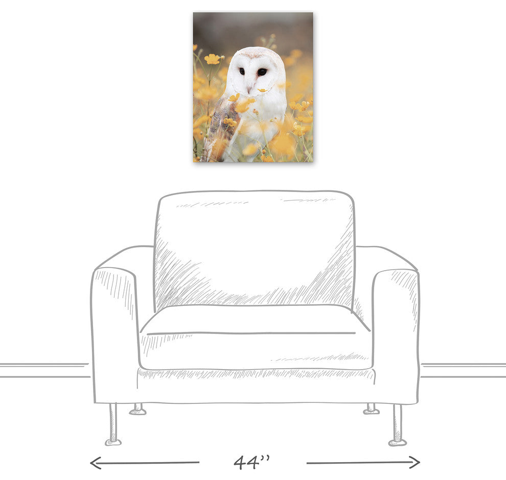 Barn Owl in Yellow Floral Field 16x20 Canvas Wall Art