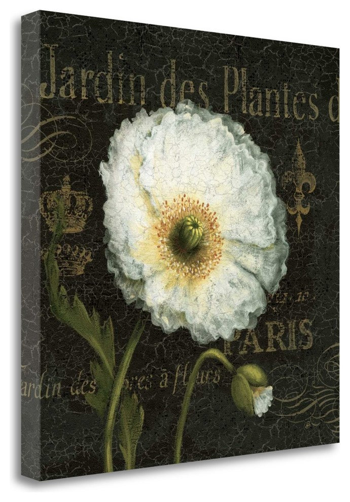 "Botanical Garden I" By Daphne Brissonnet, Giclee Print on Gallery Wrap Canvas