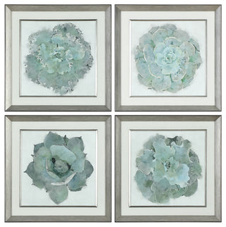 Uttermost Natural Beauties Glass Botanical Prints in Multi-Color (Set of 4)