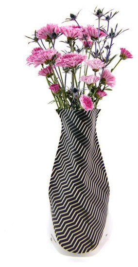 Modgy Expandable Flower Vase Giza