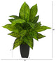 21" Dieffenbachia Artificial Plant, Black Planter