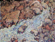 Egon Schiele Mountain Torrent, Gallery Wrapped Canvas Print, 21"x28"
