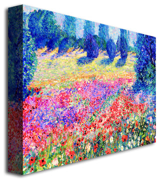 'Poppies' Canvas Art by Manor Shadian