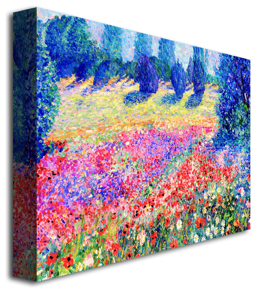 'Poppies' Canvas Art by Manor Shadian