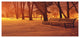 Snow Covered Benches in Evening, Large landscape Canvas Art Print, 60"x28"