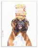 Bo"xer And Donuts Funny Dog Pet Animal Painting, 10"x15"