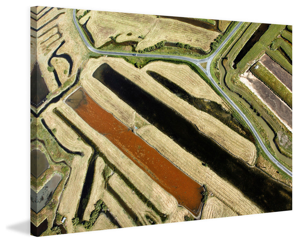 "Green Paths"  Painting Print on Wrapped Canvas
