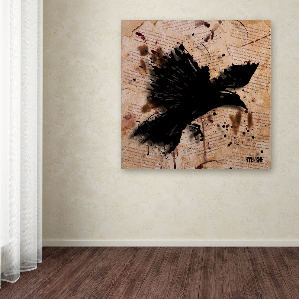 ''The Raven 1'' Canvas Art by Roderick Stevens