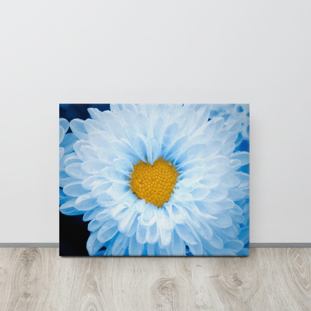 Blue Tinted Chrysanthemums Nature Photo Botanical Floral Canvas Wall Art Print, 16" X 20"