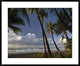 Palm Trees On The Beach Near Marino Ballena National Park, Costa Rica, 38"x30"