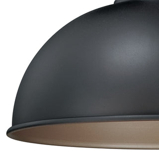 Franklin 10" Outdoor Pendant, Oil Burnished Bronze