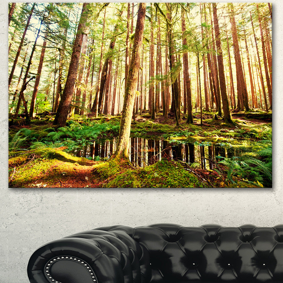Dense Trees in Green Rain Forest, Oversized Landscape Canvas Art, 40"x30"