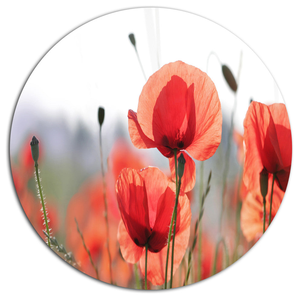Soft Poppy Flowers Petals View, Modern Floral Round Wall Art, 23"