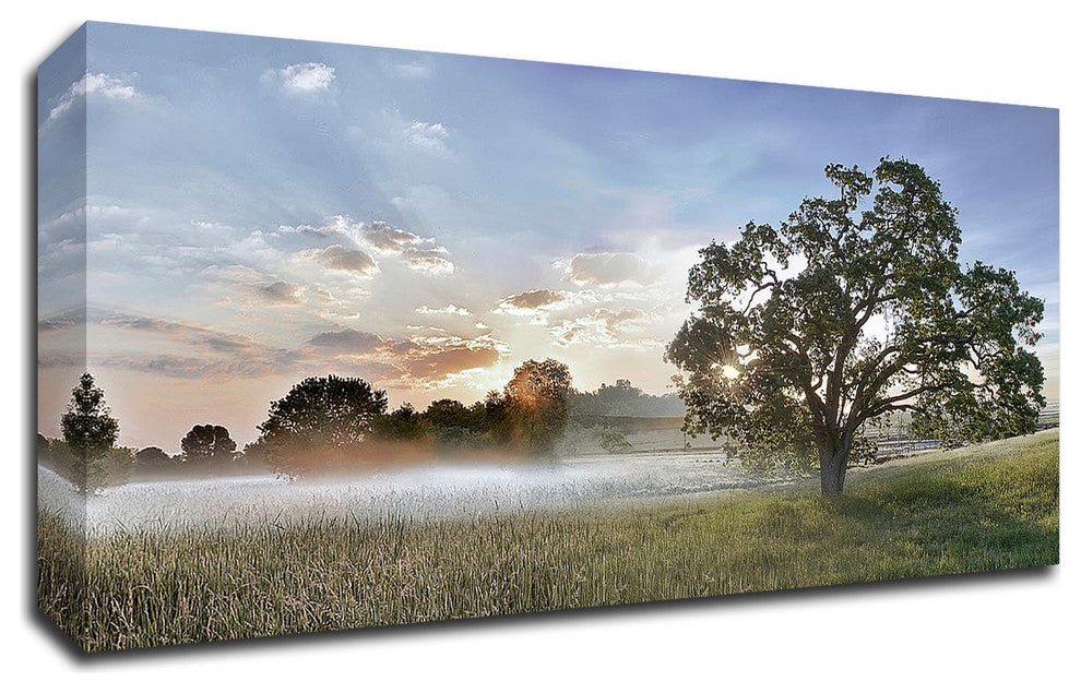 Sonoma Oak #3 by Alan Blaustein, Print on Canvas, 36"x18"