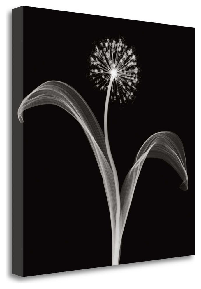 "Into The Night I" By Jim Wehtje, Giclee Print on Gallery Wrap Canvas
