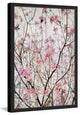 "Pink Blossoms" Framed Painting Print, 24x36
