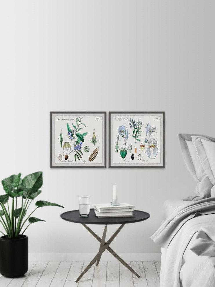 "We Are Bellflowers Diptych" Framed Prints, 18"x18", 2-Piece Set