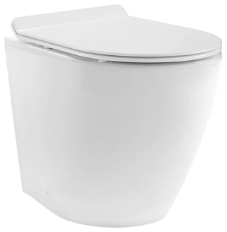 St. Tropez Back to Wall Concealed Tank Toilet Bowl Bundle, Glossy White