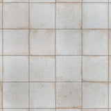 Kings Root Ceramic Floor and Wall Tile, Distressed White