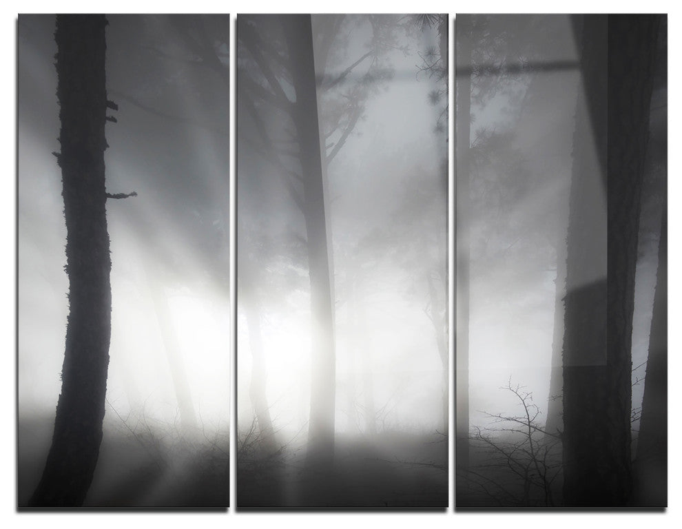 "Forest in Heavy Autumn Mist" Photo Metal Wall Art, 3 Panels, 36"x28"