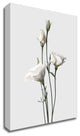 Lisianthus White by Design Fabrikken, Print on Canvas, 20"x28"