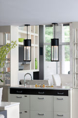 Hinkley Shelter One Light Hanging Lantern 1328BK