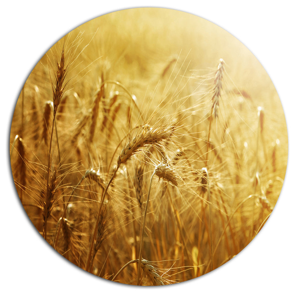 Golden Wheat Field, Landscape Wall Round Metal Wall Art, 23"