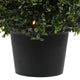Vickerman Potted Green Boxwood Cone UV, White, 4'