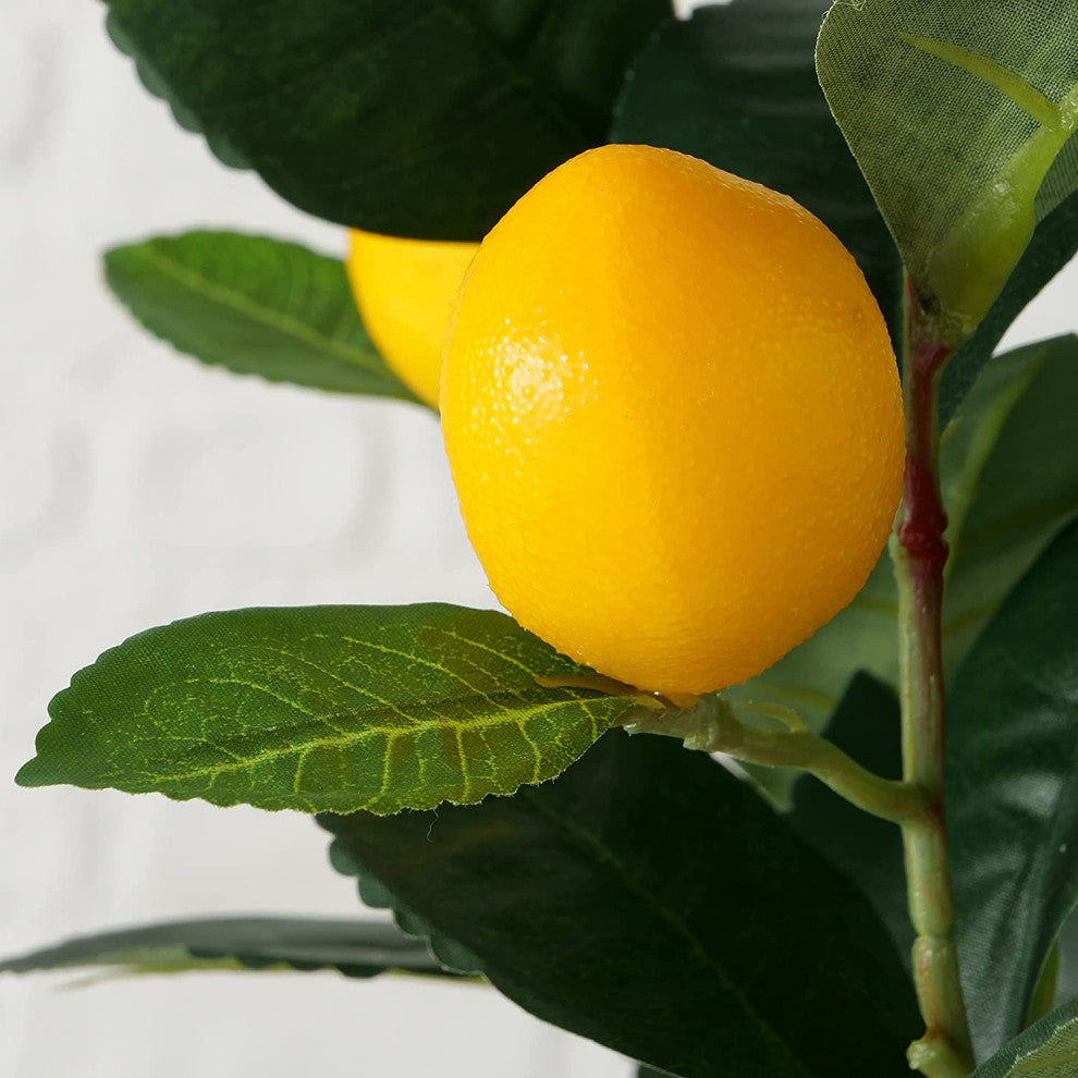 Potted Lemon Topiary Tree , 12.5 Inches