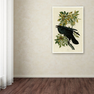 Audubon 'Ravenplate 101' Canvas Art, 32 x 22