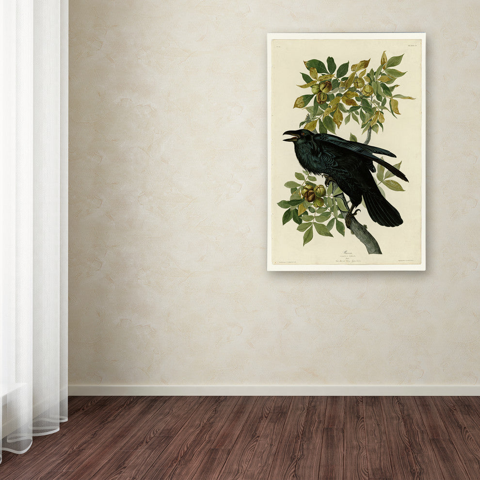 Audubon 'Ravenplate 101' Canvas Art, 32 x 22