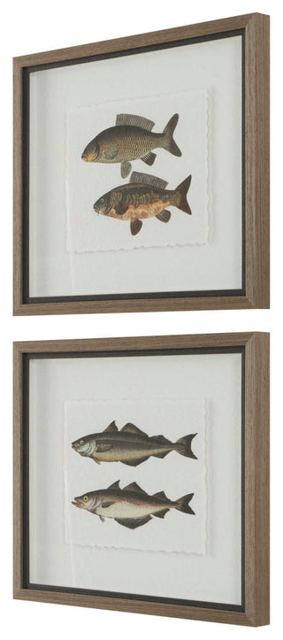 Uttermost The Catch Framed Fish Prints Set of 2