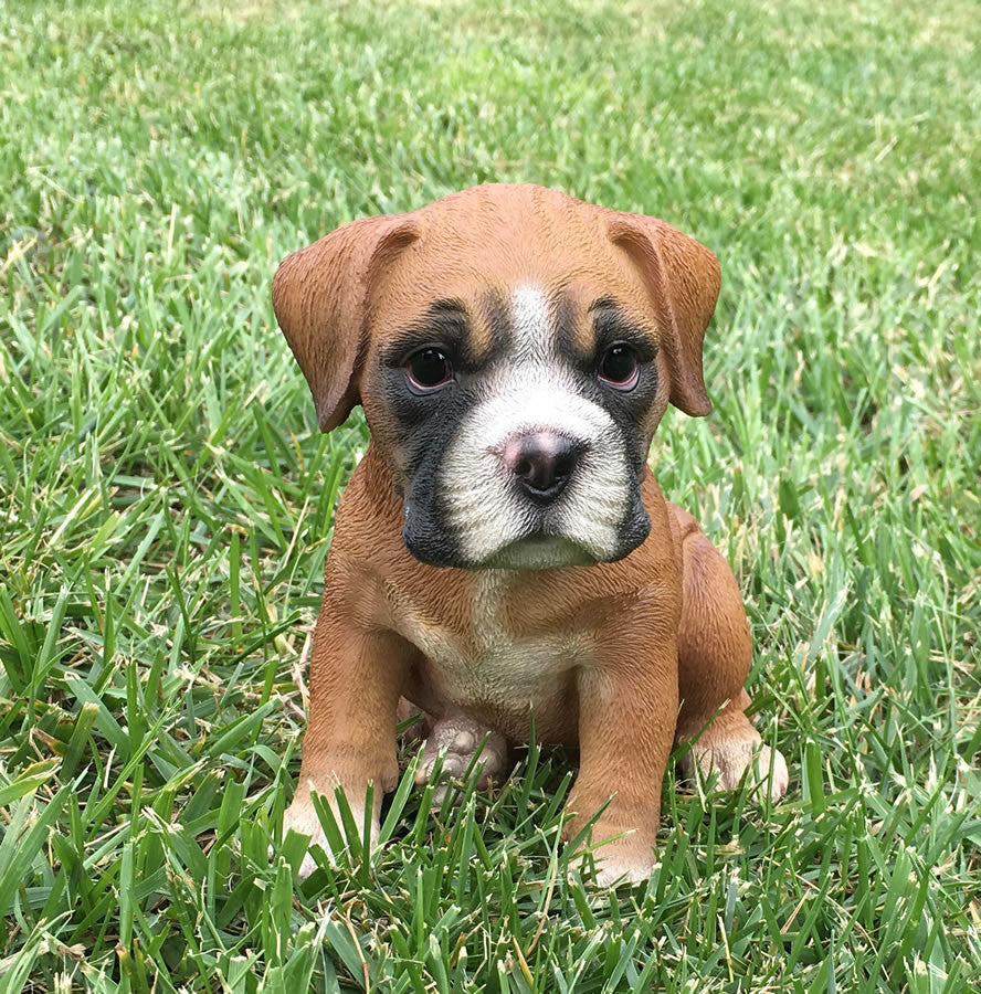 Realistic Boxer Puppy Dog Garden Statue