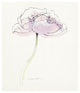 "Single Pink Somniferum II" Digital Paper Print by Shirley Novak, 21"x24"