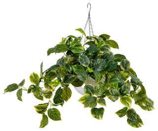 24in. Prelit UV Resistant Artificial Pothos, White Hanging Basket