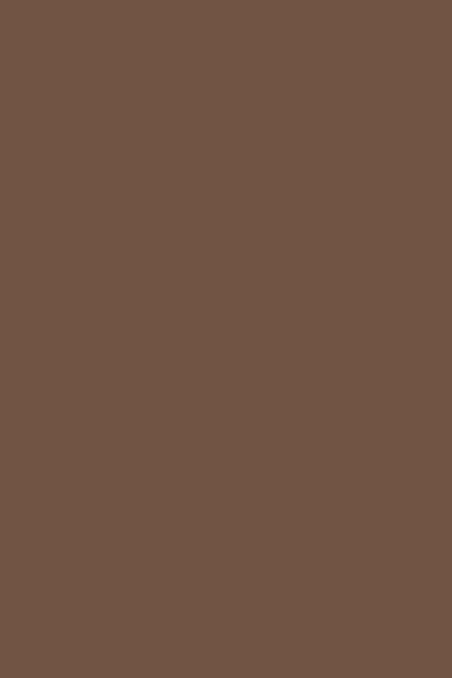 London Clay Full Gloss Paint