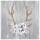 "Antlers and Poppies I Sq" Digital Paper Print by Elyse DeNeige, 32"x32"