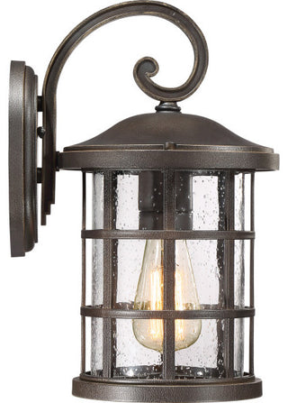 Crusade 1-Light Outdoor Lantern, Earth Black