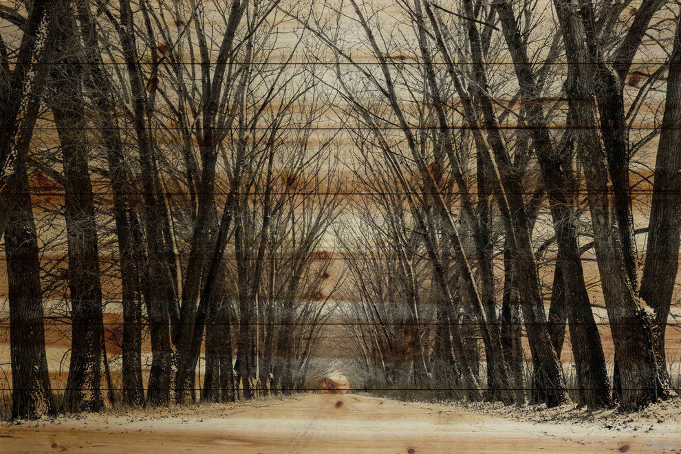 "Tree Path II" Painting Print on Natural Pine Wood, 60"x40"